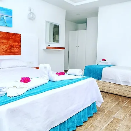 Szálloda Mina Apart 2*