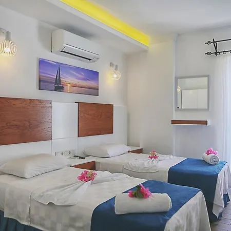 Hotel Mina Apart